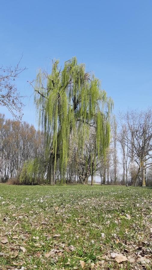 La Locanda Nel Frutteto Rovereto sulla Secchia Buitenkant foto